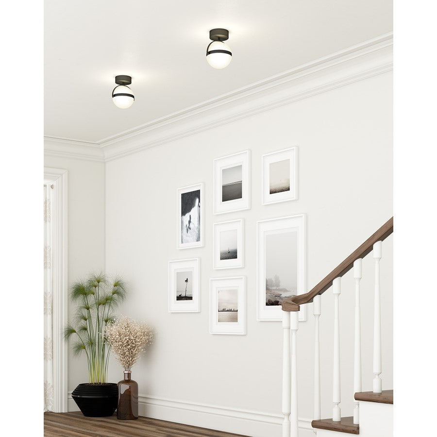 Alora Globo 7" LED Flush Mount, Black - FM301001MB-UNV