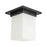 Kuzco Mineral 8" Black Flush Mount, Urban Bronze/Alabaster