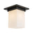 Kuzco Mineral 8" Black Flush Mount, Urban Bronze/Matte Opal Glass