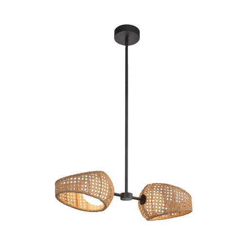 Kuzco Lanai 2-Head LED Pendant | Coastal Black Rattan and Opal Glass | Covered Patio & Dining Room | 7.38 x 7.38 x 5.62 in | Model PD20602-BK-OP