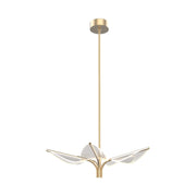 Kuzco Flora 31in 5-Light LED Pendant | Art Deco Natural Brass and Clear Acrylic Light Guide | Dining Room & Living Room | Model PD321105NB