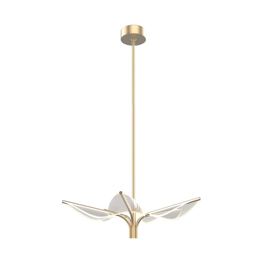 Kuzco Flora 31in 5-Light LED Pendant | Art Deco Natural Brass and Clear Acrylic Light Guide | Dining Room & Living Room | Model PD321105NB