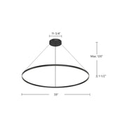 Kuzco Cerchio 60in LED Up/Down Pendant | Brushed Gold Aluminum and Frosted Silicone Diffuser | Kitchen Island & Dining Room | Model PD87760-BG