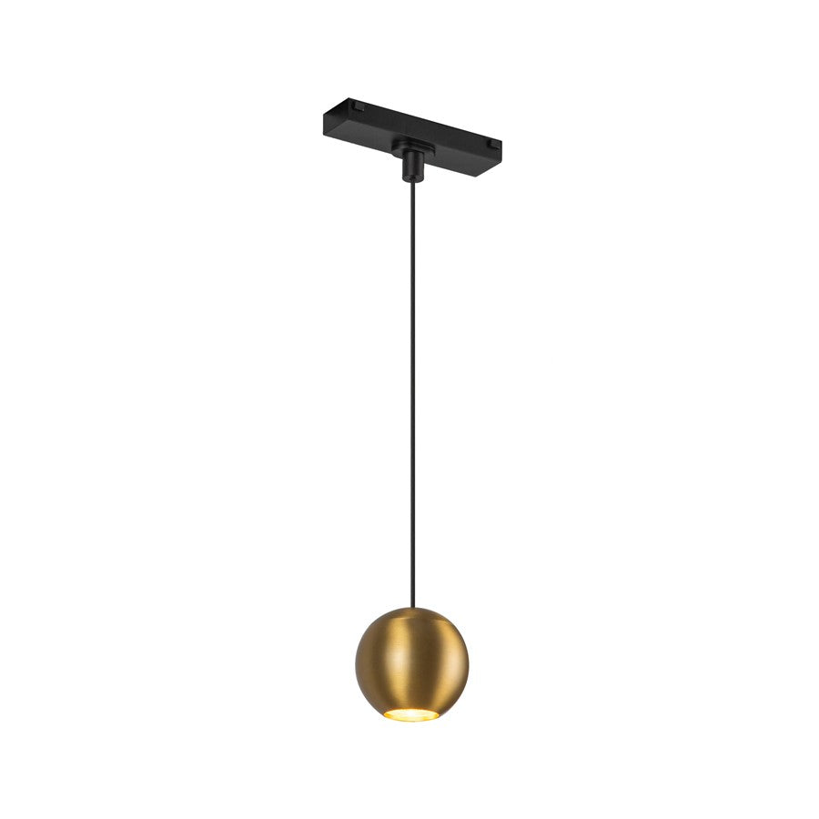 Kuzco Faria 3" Trilo Track Pendant, 4000K, Brushed Gold - TRP26903-BG-4K
