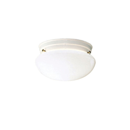 Kichler Ceiling Space 9in 2-Light Flush Mount | Utilitarian White and White Glass | Hallways & Closets | 9 x 5 in | Model 209WH