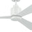 Kichler 52" True Ceiling Fan, White/White