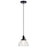 Kichler Avery 1 Light Mini Pendant, Black/Clear Seeded