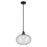 Kichler Avery 1 Light Globe 14" Pendant, Black/Clear - 43911BK