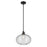 Kichler Avery 1 Light Globe 14" Pendant, Black/Clear