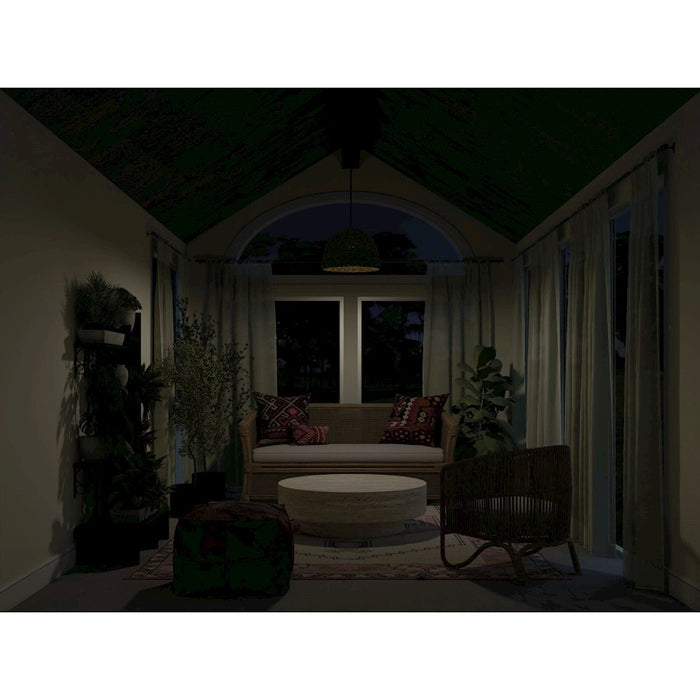 Kichler Raffiana 1 Light Mini Pendant, Black/Clear Satin Etched