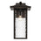 Kichler Capanna 1 Light Outdoor Wall XL, Olde Bronze/Clear Water
