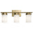 Kichler Ciona 24in 3-Light Vanity Light | Brushed Natural Brass & Satin Etched Cased Opal Glass | Bathroom Vanity Light | 3x100W A19 | Model 55112BNB