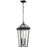 Kichler Regence 2 Light Outdoor Hanging Pendant, Black/Clear Beveled - 59130BKT