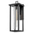 Lark Mateo 1 Light Outdoor Large Wall Mount Lantern, Black/Clear