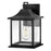 Lark Nolan 1 Light Outdoor Small Wall Mount Lantern, Black/Clear - 81590BK