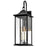 Lark Nolan 3 Light Outdoor Large Wall Mount Lantern, Black/Clear