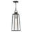 Lark Hugh 1 Light Outdoor Large Hanging Lantern, Black/Clear - 82002BK