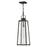 Lark Hugh 1 Light Outdoor Large Hanging Lantern, Black/Clear