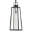 Lark Hugh 1 Light Outdoor Large Hanging Lantern, Black/Clear