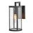 Lark Alfie 1 Light Outdoor Wall Mount Lantern, Black/Clear Seedy