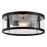 Lark Alfie 2 Light Outdoor 14" Flush Mount, Black/Clear Seedy