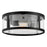 Lark Alfie 2 Light Outdoor 14" Flush Mount, Black/Clear Seedy