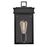 Lark Cole 1 Light Outdoor 13" Wall Mount Lantern, Black/Clear