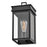 Lark Cole 1 Light Outdoor 13" Wall Mount Lantern, Black/Clear