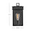 Lark Cole 1 Light Outdoor 13" Wall Mount Lantern, Black/Clear
