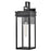 Lark Cole 1 Light Outdoor 19" Wall Mount Lantern, Black/Clear - 82064BK