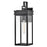 Lark Cole 1 Light Outdoor 19" Wall Mount Lantern, Black/Clear