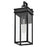 Lark Cole 1 Light Outdoor 19" Wall Mount Lantern, Black/Clear