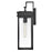 Lark Cole 1 Light Outdoor 19" Wall Mount Lantern, Black/Clear