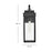 Lark Cole 1 Light Outdoor 19" Wall Mount Lantern, Black/Clear