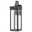 Lark Cole 1 Light Outdoor 25" Wall Mount Lantern, Black/Clear