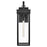 Lark Cole 1 Light Outdoor 25" Wall Mount Lantern, Black/Clear