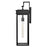 Lark Cole 1 Light Outdoor 25" Wall Mount Lantern, Black/Clear