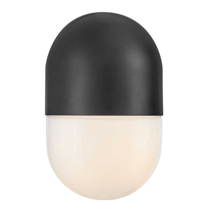 Lark Bardi 1 Light Outdoor 10" Wall Mount Lantern, Black/Cased Opal