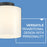 Lark Pippa 1 Light Extra Small Flush Mount, Black/Cased Opal