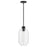 Lark Greer 1 Light Small Pendant, Black/Clear