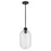 Lark Greer 1 Light Small Pendant, Black/Clear