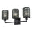 Livex Twinewell 3Lt Vanity Sconce, Black/Black On Top of Clear Glass