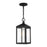 Livex Nyack 1 Light Outdoor Pendant Lantern, Clear