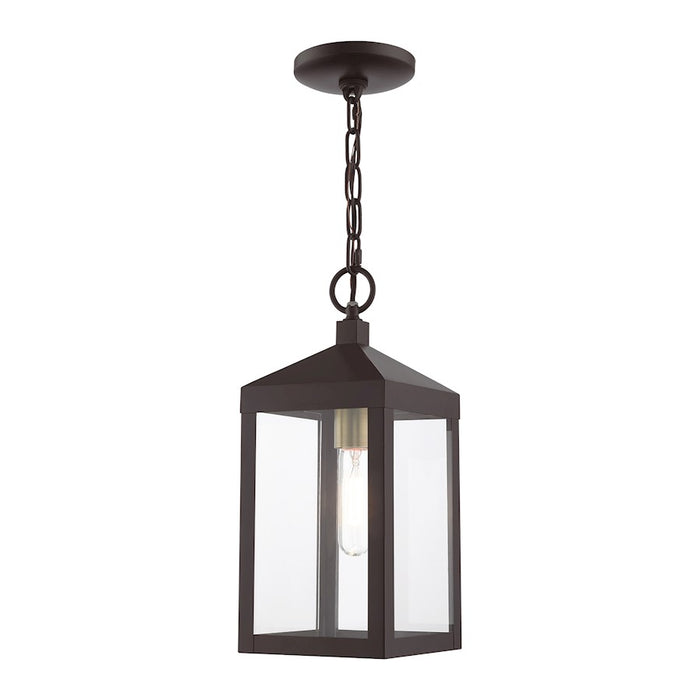 Livex Nyack 1 Light Outdoor Pendant Lantern, Clear