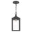 Livex Lighting Nyack Outdoor Pendant Lantern