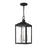 Livex Nyack 3 Light Outdoor Pendant Lantern, Clear