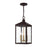 Livex Nyack 3 Light Outdoor Pendant Lantern, Clear
