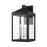 Livex Nyack 5 Light Outdoor Wall Lantern, Black/Nickel Cluster/Clear