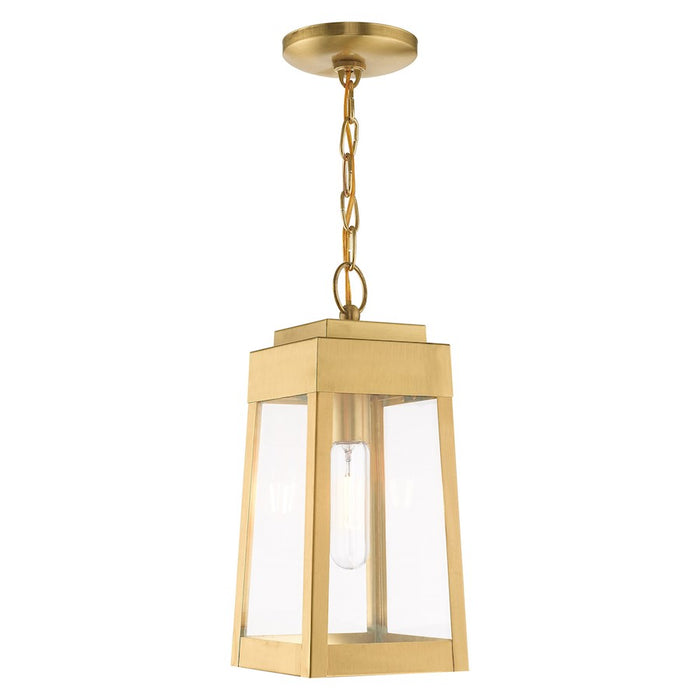 Livex Lighting Oslo 1 Light Outdoor Pendant Lantern