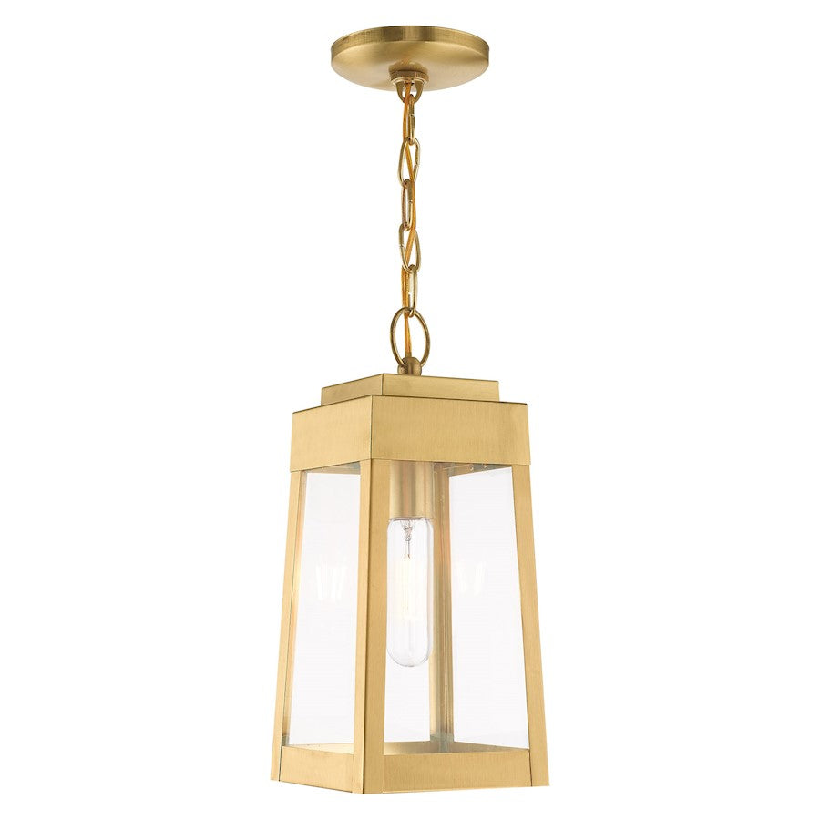 Livex Lighting Oslo 1 Light Outdoor Pendant Lantern